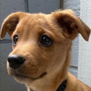 Meet your Posher, Meredith